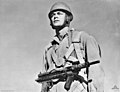 Profile Picture of M42 Duperite helmeton Wikipedia