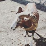 Profile Picture of Šimon Šácha (@tetka_mana) on Instagram