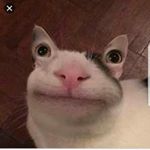 Profile Picture of Jeff Maier (@ohrenaugenkatze44) on Instagram