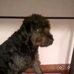 Profile Picture of hector abel flecha (@hectorabelflecha) on Instagram