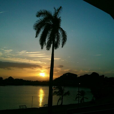 Profile Picture of Graciela Campos (@gcamposmata) on Twitter