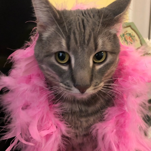 Profile Picture of Linda Logue (@lbird64) on Poshmark