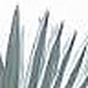 Profile Picture of Barry Wall (@barrywall) on Flickr