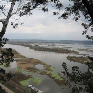 Profile Picture of Rosella Hostrawser (@Rosella-Hostrawser) on Facebook