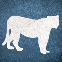 Profile Picture of Kim Chard (@kim-chard-5) on Quora