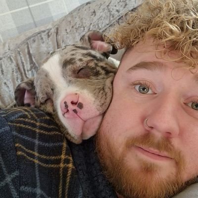 Profile Picture of Kyle 🇬🇧 🏳️‍🌈 (@NellyNiff) on Twitter