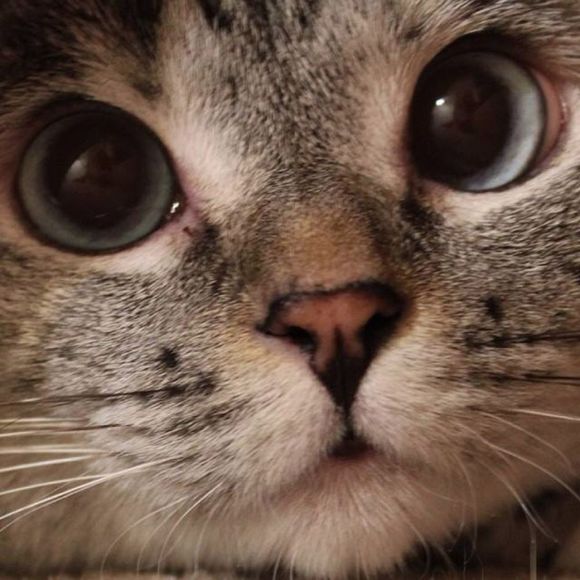 Xue Wen - Poshmark Profile Picture of Xue Wen (@xuexuewen) on Poshmark