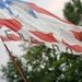 Profile Picture of Bob Dailey (@bdailey1648) on Pinterest