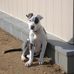 Profile Picture of David Dumas (@david.dumas.37) on Facebook