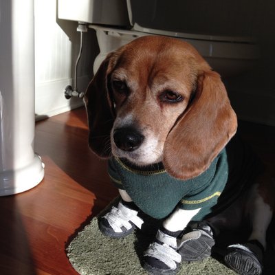 Profile Picture of Stephen J Preisler (@nixonfieldreno) on Twitter