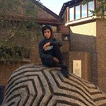 Profile Picture of Richard Kantor (@richardkantor2019) on Instagram