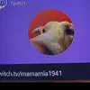 Profile Picture of David Merrill (@daveplaysmlb) on Tiktok