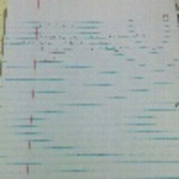 Profile Picture of Juliana Bezerra (@julmb) on Poshmark