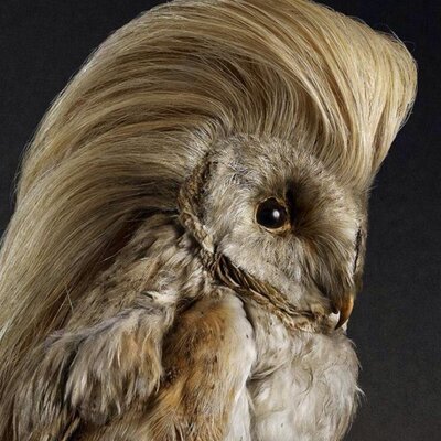 Profile Picture of Mark Howle (@markhowle1) on Twitter