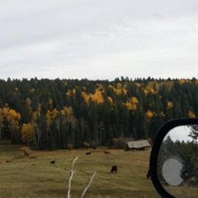 Profile Picture of Steve Quintana (@05f61a94c73546f) on Twitter