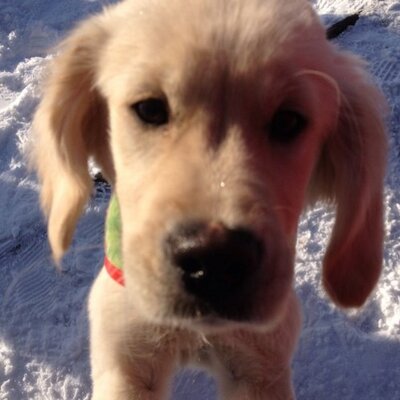 Profile Picture of Danielle Conley (@DanielleCConley) on Twitter