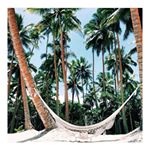 Profile Picture of Dawn Marks (@piemiconttha) on Instagram