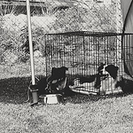 Profile Picture of Bianca Van De Ree (@bibi_13th) on Flickr