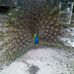 Profile Picture of Mark Gainer (@mark.gainer.94) on Facebook