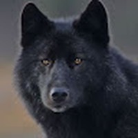 Profile Picture of Daniel Hildreth (@daniel-hildreth-5) on Quora