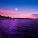 Profile Picture of Erina Yokota (@ericat22) on Pinterest
