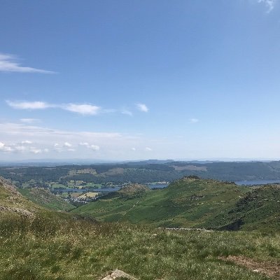 Profile Picture of Matthew Mcaneny (@MatthewMcaneny) on Twitter