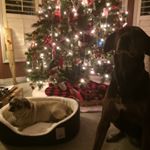 Profile Picture of Cathy Farrell-Kirkey (@cathykirkey) on Instagram