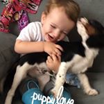 Profile Picture of Sue Foley (@sufo53) on Instagram