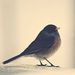 Profile Picture of Sarah Tibbs (@saraht6522) on Pinterest