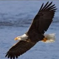 Profile Picture of Kyle Kinyon (@kyle-kinyon-1) on Quora