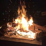 Justin Boisvert - Instagram Profile Picture of Justin Boisvert (@musclepeanut) on Instagram