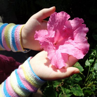 Profile Picture of Mariam Mohammad (@Maria92786) on Twitter