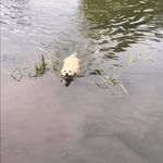 Profile Picture of Mouton Isabelle (@mouton.isabelle.5) on Instagram