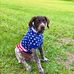 Profile Picture of Isaac Hatcher (@Isaac-Hatcher) on Facebook