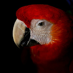 Profile Picture of Lucas Vasconcellos (@lucas_vmo@yahoo.com.br) on Flickr