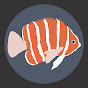 Profile Picture of Boylei Hobby Time (@Boylei) on Tiktok
