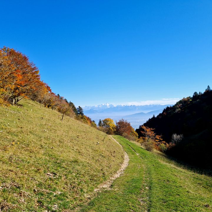 Profile Picture of Lucie horvath (@luluhrvh) on Tiktok