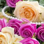 Profile Picture of Eman Khalifeh (@eman.khalifeh.161) on Instagram