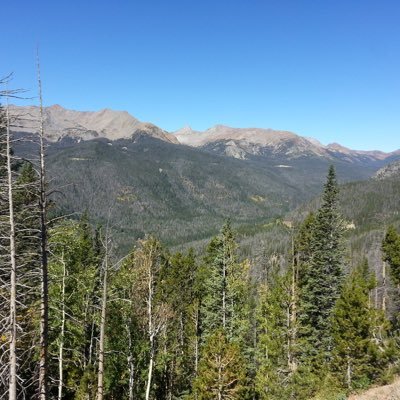 Profile Picture of Robert Scalley (@robert_scalley) on Twitter