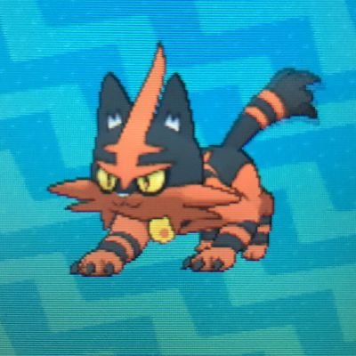 Profile Picture of Jacob Portillo (@JacobPortillo7) on Twitter