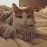 Profile Picture of Joni Call O'Blenes (@jonioblenes) on Instagram