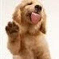 Profile Picture of Jonathan Brunson (@jonathan-brunson-2) on Quora