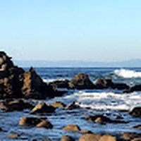 Profile Picture of Danielle Gratton (@danielle-gratton-8) on Quora