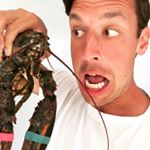 Profile Picture of Patrick Poulin (@poulinjokes) on Instagram