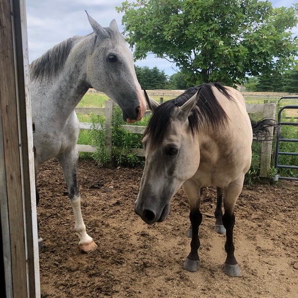 Erin Stuckey - Poshmark Profile Picture of Erin Stuckey (@erinstuckey) on Poshmark