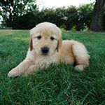 Profile Picture of Andrew Whipkey (@whipkeyandrew) on Instagram