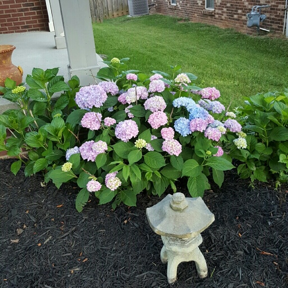 Profile Picture of Bonnie Balko-alexander (@bmalex3) on Poshmark