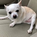 Profile Picture of June Lin (@junetranlin) on Instagram