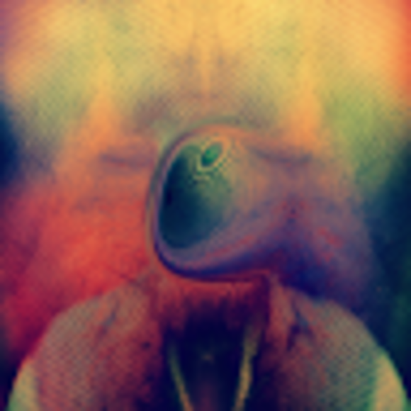 Profile Picture of Edward Mostoller (@emostoller) on Poshmark