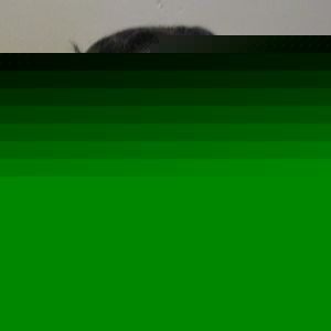 Profile Picture of Danaya  Spruill (@shawnettamoore) on Myspace